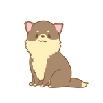 mimi