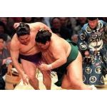岡崎体育