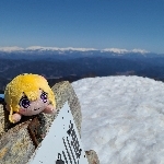 userPhoto