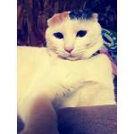 サトユ