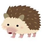 はりね