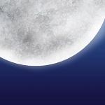 白の7番