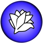 userPhoto