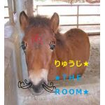 馬主★りゅうじ