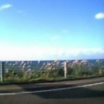 anite_hocuie