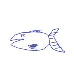 海のカツオ
