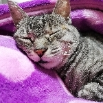 なな♡
