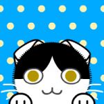 たこわさ