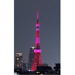 ま～ぶる