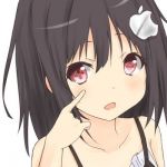 【蘭猫フェイリスハルニャン】