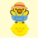 userPhoto