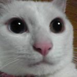 ゴロゴロウ