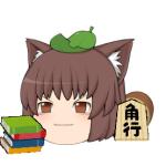  タヌキ