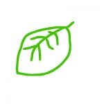 もぐら（豆）