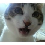 さき
