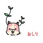 狂四郎