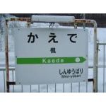 楓さん