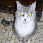 tururu