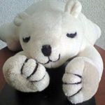 きたざわ
