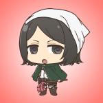 おすぎ