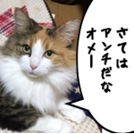 ぱるメッ!