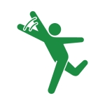 村T