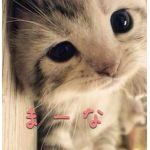 まーな