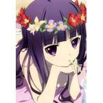 まゆだぬき