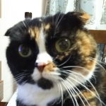 ユーザー画像