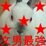 ある子