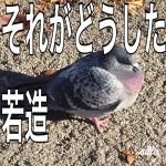 すばる