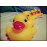 ももち