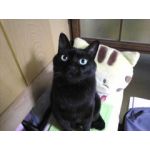 userPhoto