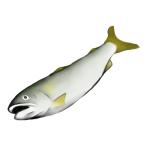 アユ【塩焼き】