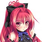 秋伽わかな