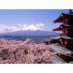 りょうた