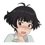 じつかいせき