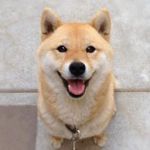 さんた