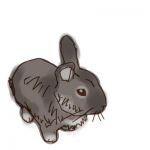 だいしゅ