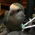 もぐちん