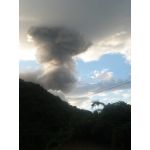 タクたく