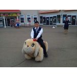 kazu30sep