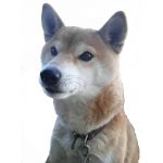 シェリー