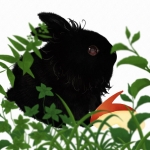 みず