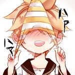 arIpo