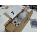 ねこまた