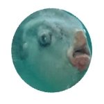 ユーザー画像