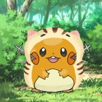 野良猫