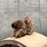 える