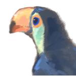 mipi